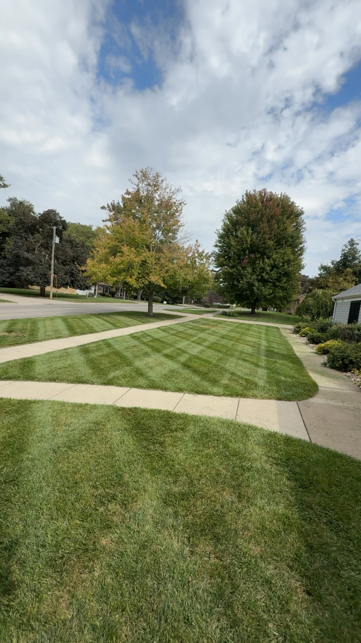 Manicured residential lawn with diagonal mowing stripes, concrete walkway, and mature trees