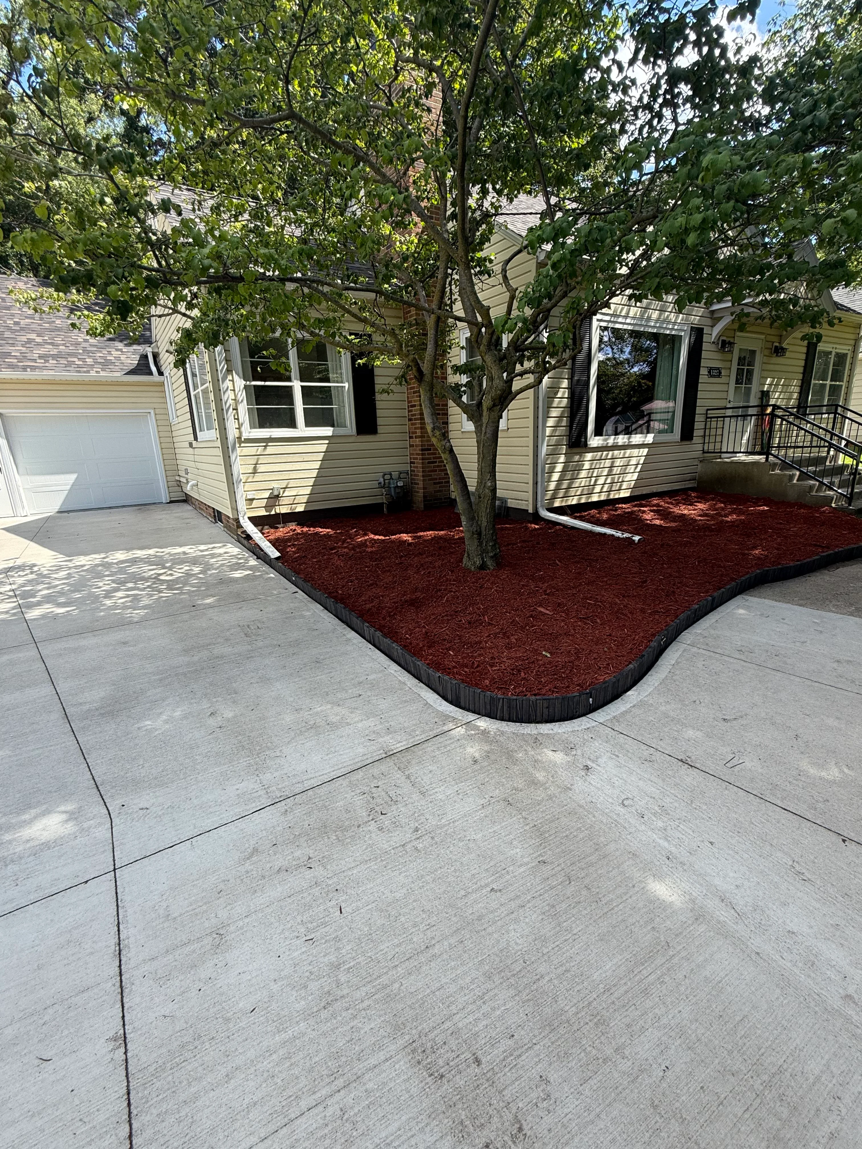 Red mulch bed with black edging around shade tree in front yard
